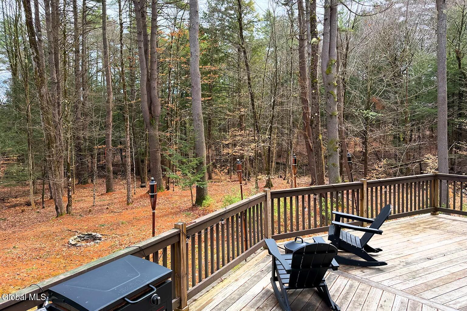 112 Ballou Road Greenfield, NY 12859 - Photo 15 of 46 11