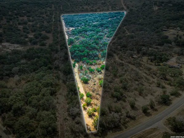 a view of a yard with plants