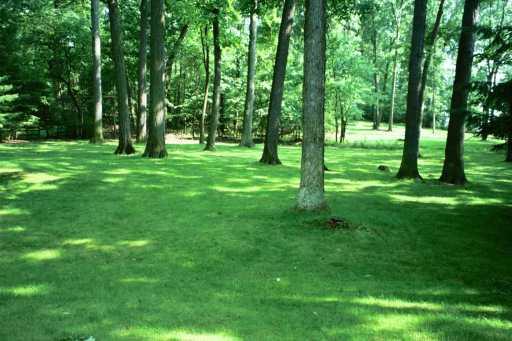 404 Winnerwood Road Pittsburgh, PA 15237 - Photo 8 of 8 Yard/Garden.