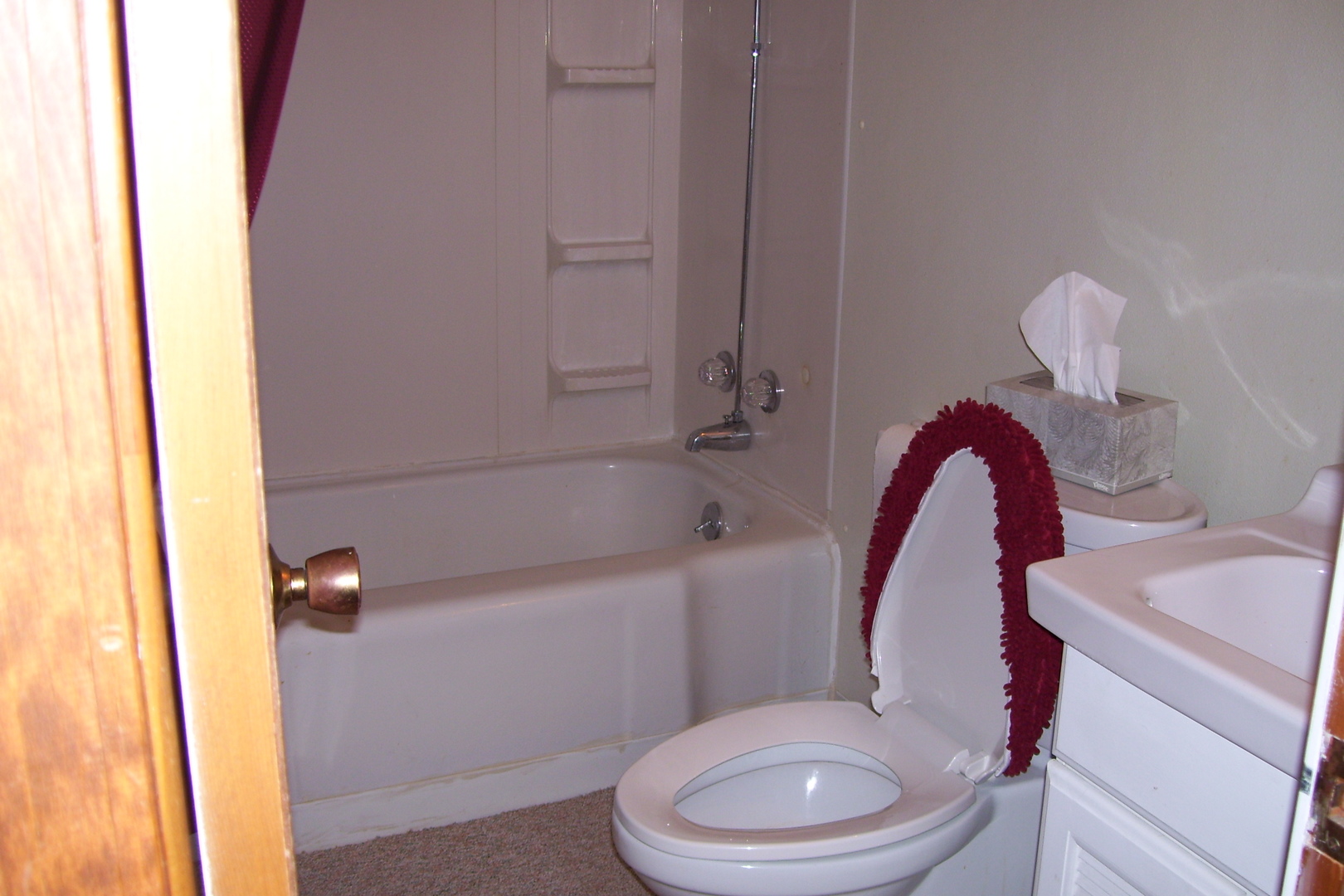 800 Roselyn Drive Rantoul, IL 61866 - Photo 3 of 13 Gallery Image 3