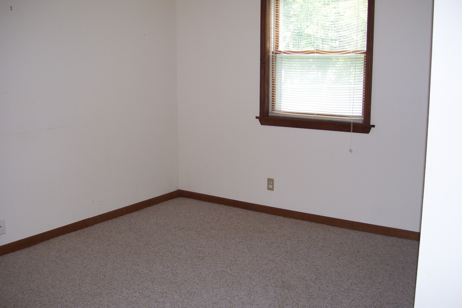800 Roselyn Drive Rantoul, IL 61866 - Photo 5 of 13 Gallery Image 5