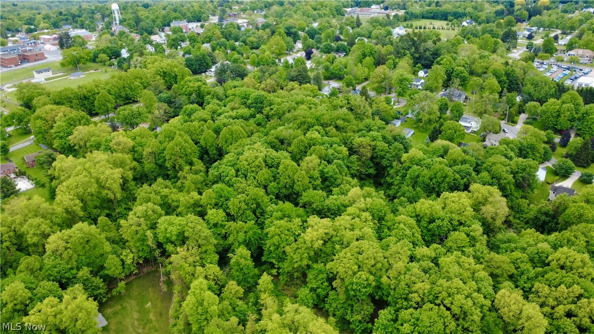 Vl Garden Street Burton, OH 44021 - Photo 4 of 7 Aerial view of a forest