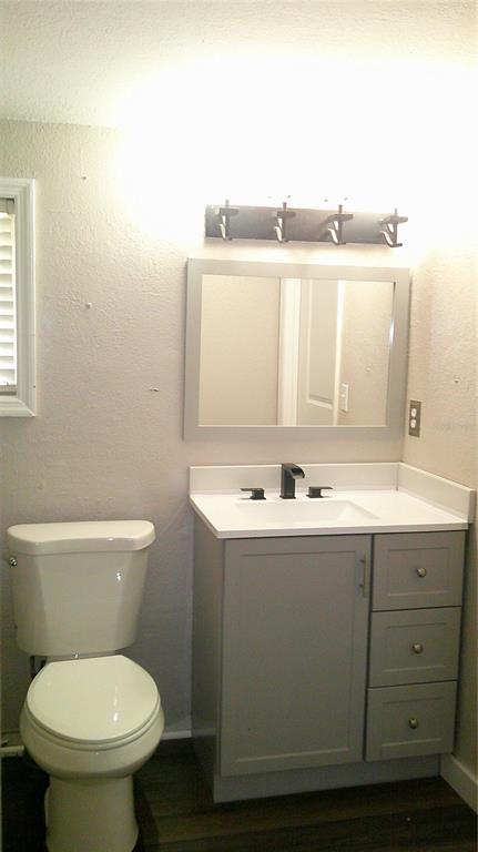 4609 Gallagher Road Plant City, FL 33565 - Photo 15 of 23 a bathroom with a sink toilet and mirror