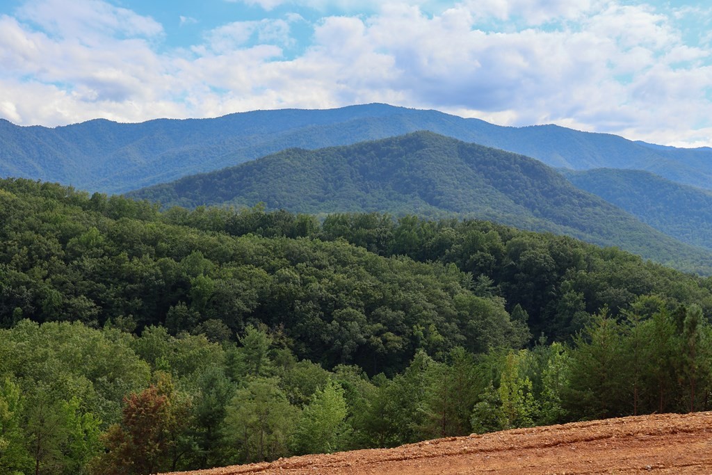 250 Sonshine Ridge Road Cosby, TN 37722 - Photo 2 of 15