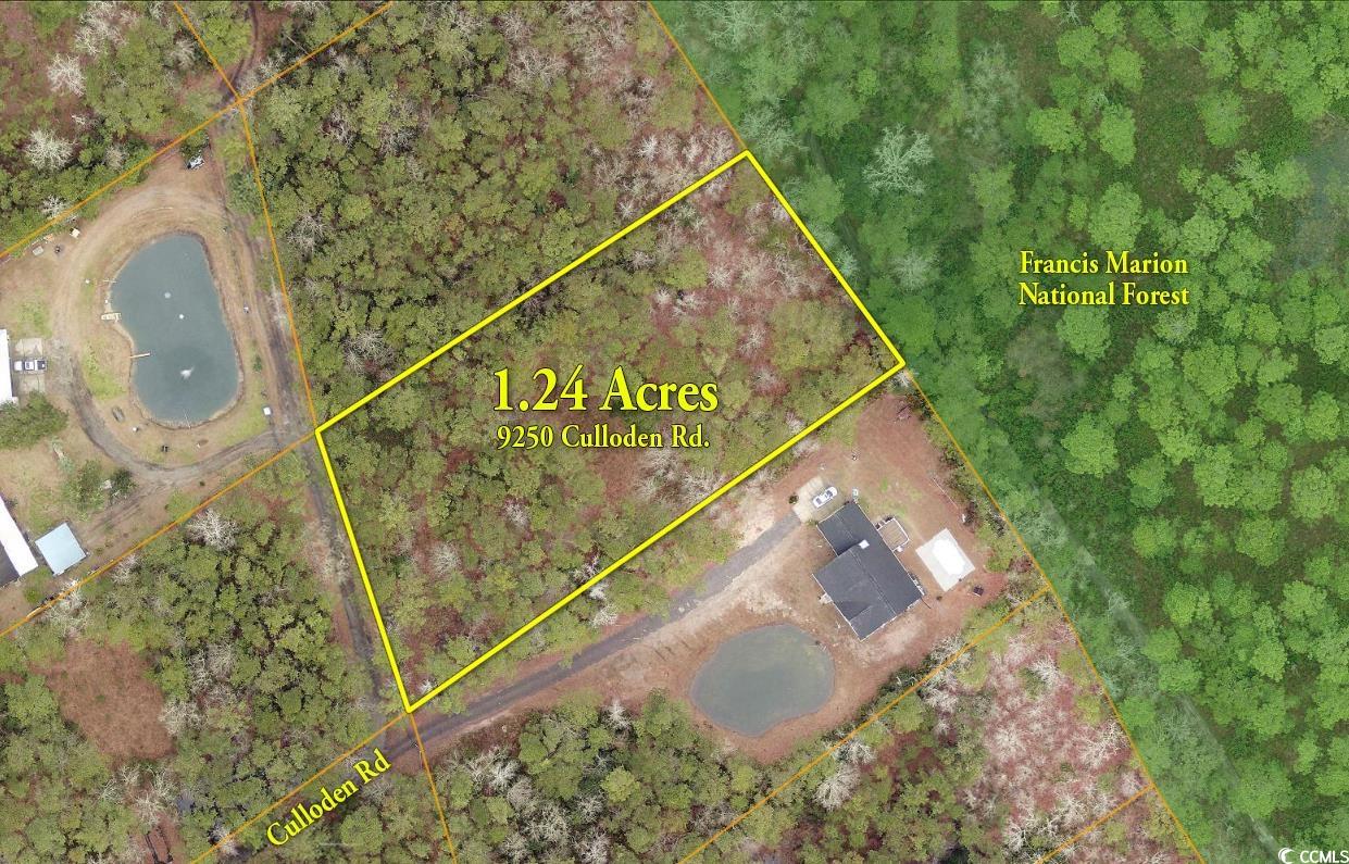 9250 Culloden Road McClellanville, SC 29458 - Photo 1 of 13 Gallery Image 1