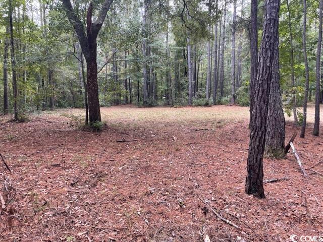 9250 Culloden Road McClellanville, SC 29458 - Photo 11 of 13 Gallery Image 11