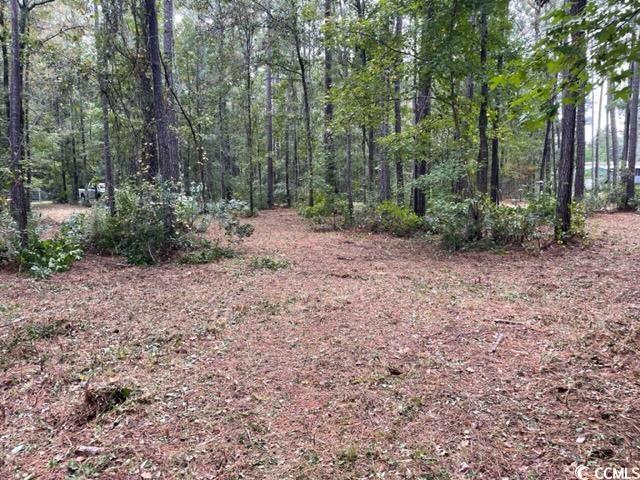 9250 Culloden Road McClellanville, SC 29458 - Photo 12 of 13 Gallery Image 12