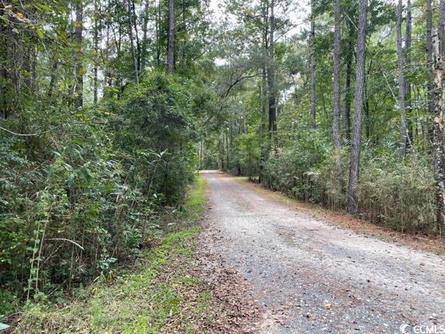 9250 Culloden Road McClellanville, SC 29458 - Photo 13 of 13 Gallery Image 13