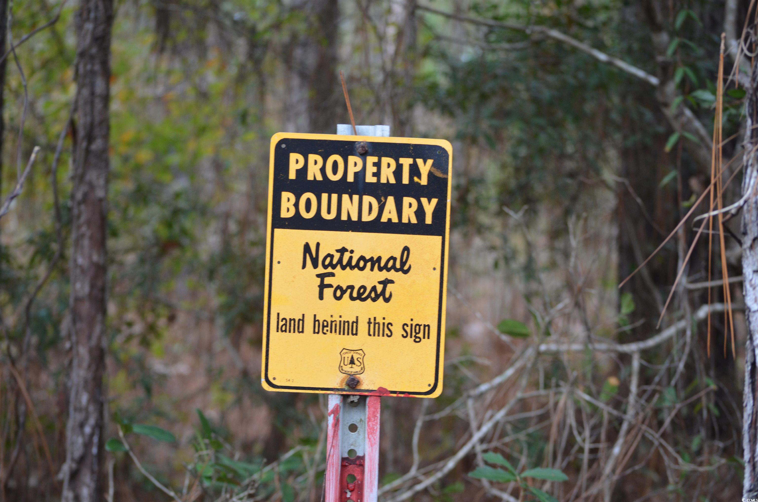 9250 Culloden Road McClellanville, SC 29458 - Photo 2 of 13 Gallery Image 2