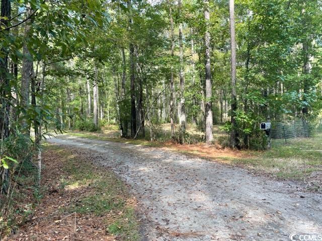 9250 Culloden Road McClellanville, SC 29458 - Photo 4 of 13 Gallery Image 4