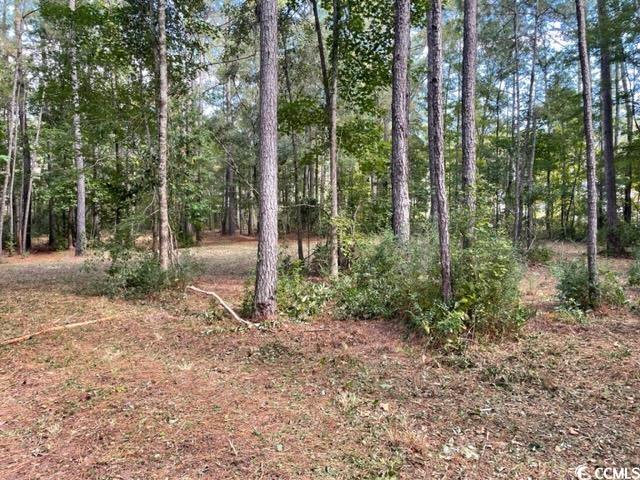 9250 Culloden Road McClellanville, SC 29458 - Photo 6 of 13 Gallery Image 6