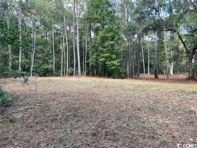 9250 Culloden Road McClellanville, SC 29458 - Photo 8 of 13 Gallery Image 8