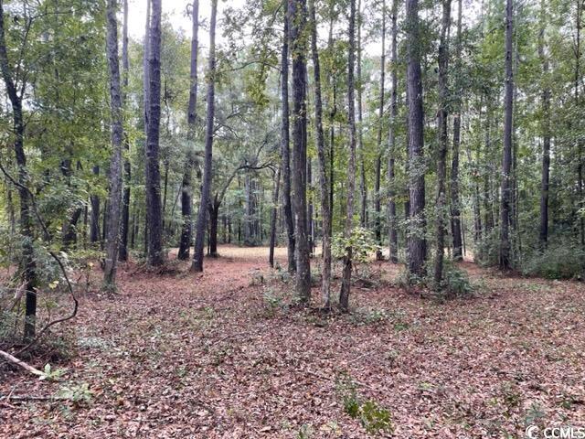 9250 Culloden Road McClellanville, SC 29458 - Photo 10 of 13 Gallery Image 10