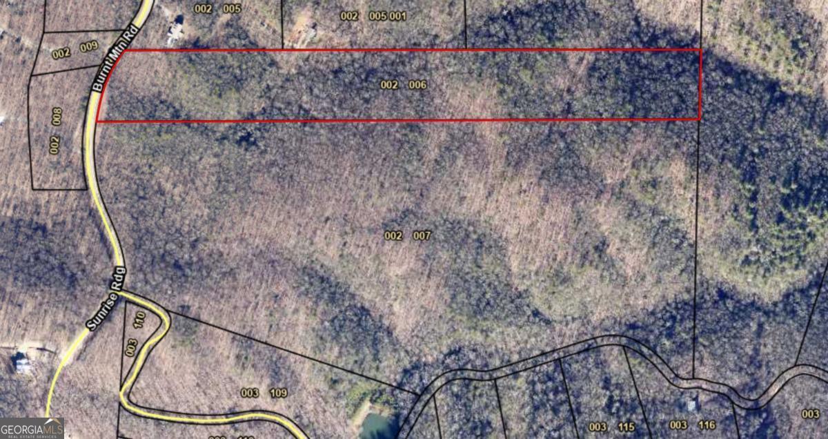 0 Burnt Mtn Road Ellijay, GA 30536 - Photo 1 of 1 a view of a dry yard