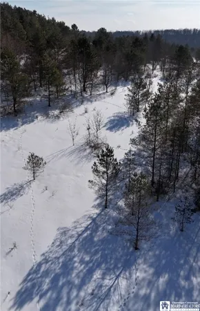 $90,000 | Reynolds Road, Franklinville, NY 14737