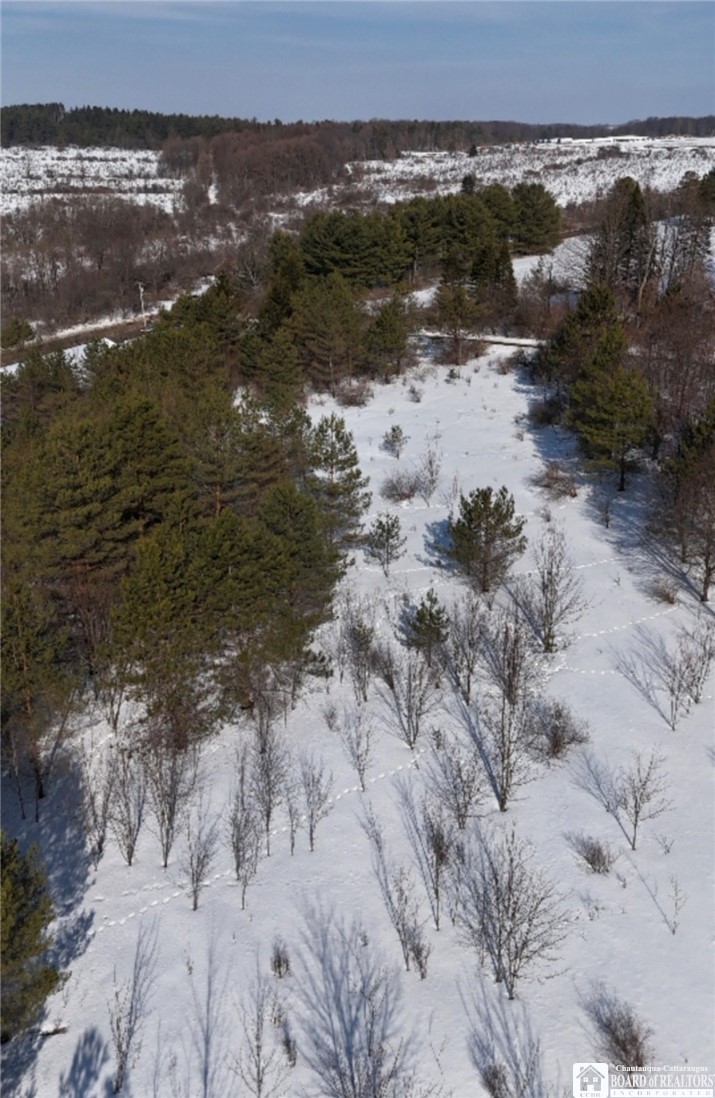 Reynolds Road Franklinville, NY 14737 - Photo 2 of 7