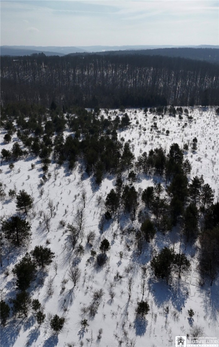 Reynolds Road Franklinville, NY 14737 - Photo 3 of 7