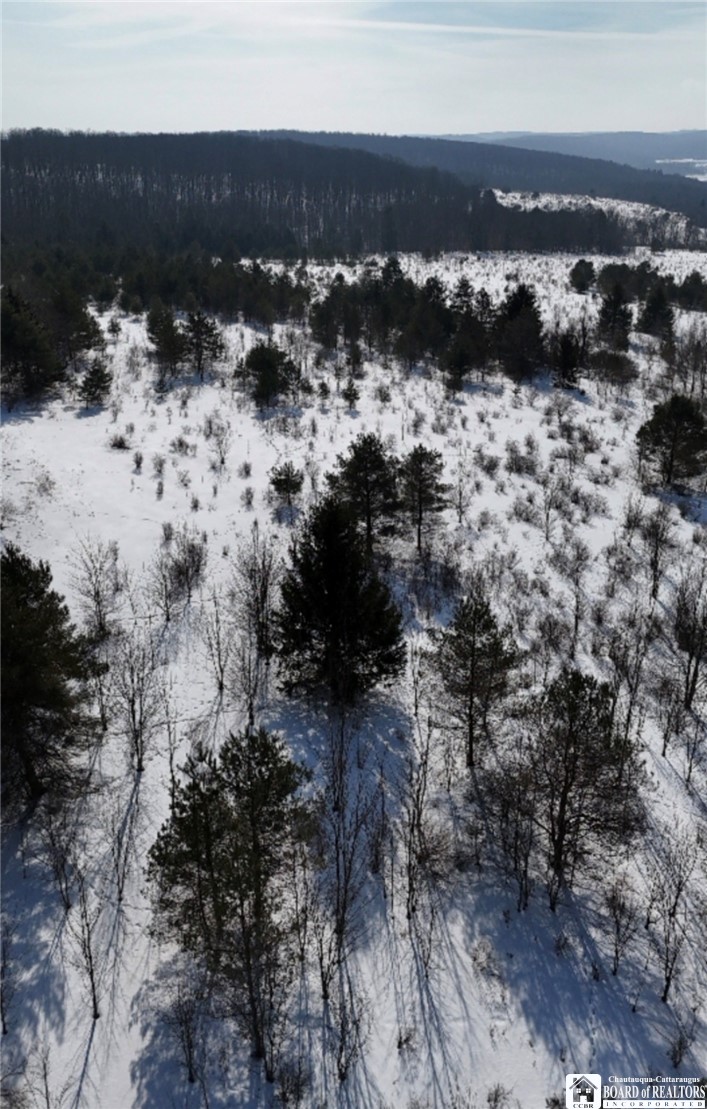 Reynolds Road Franklinville, NY 14737 - Photo 4 of 7