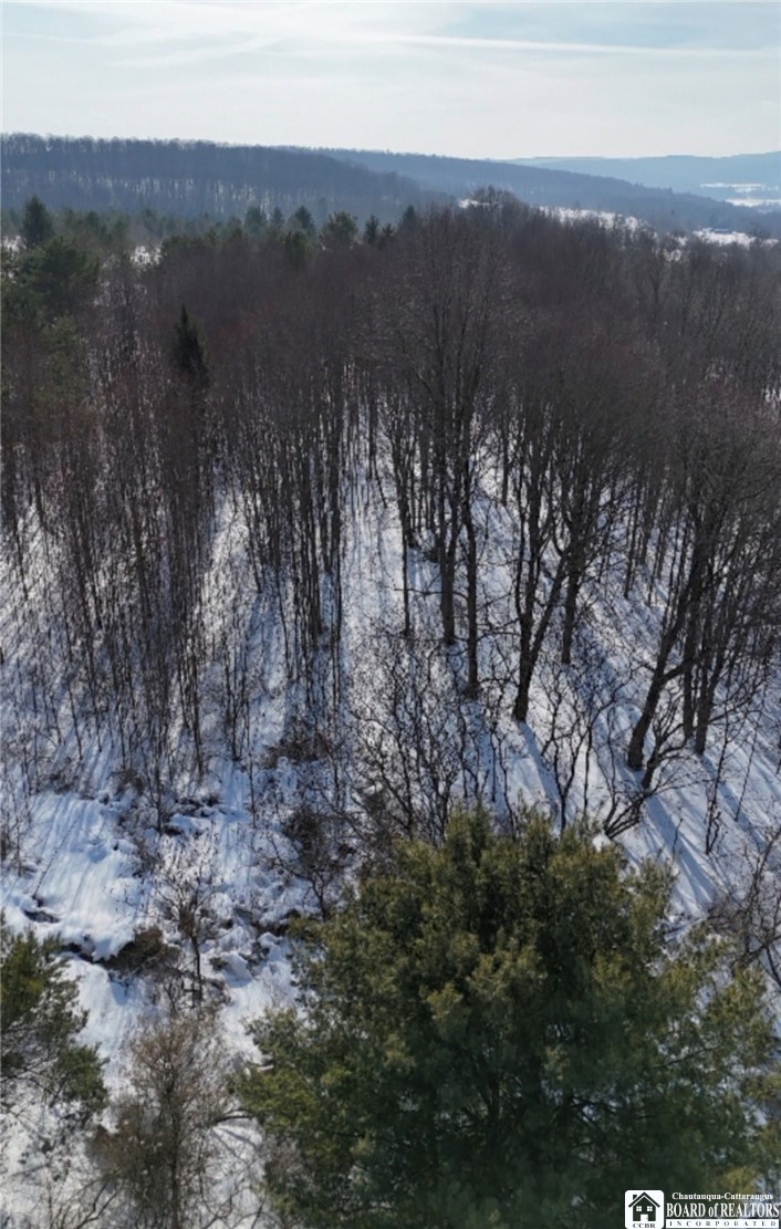 Reynolds Road Franklinville, NY 14737 - Photo 6 of 7