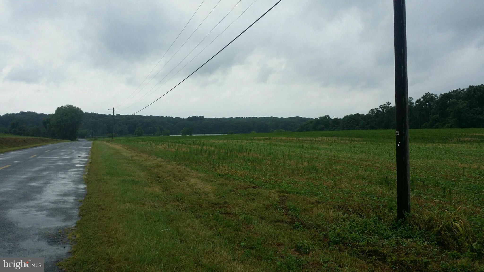 25669 Bessicks Corner Road Worton, MD 21678 - Photo 11 of 13 Exterior (General)
