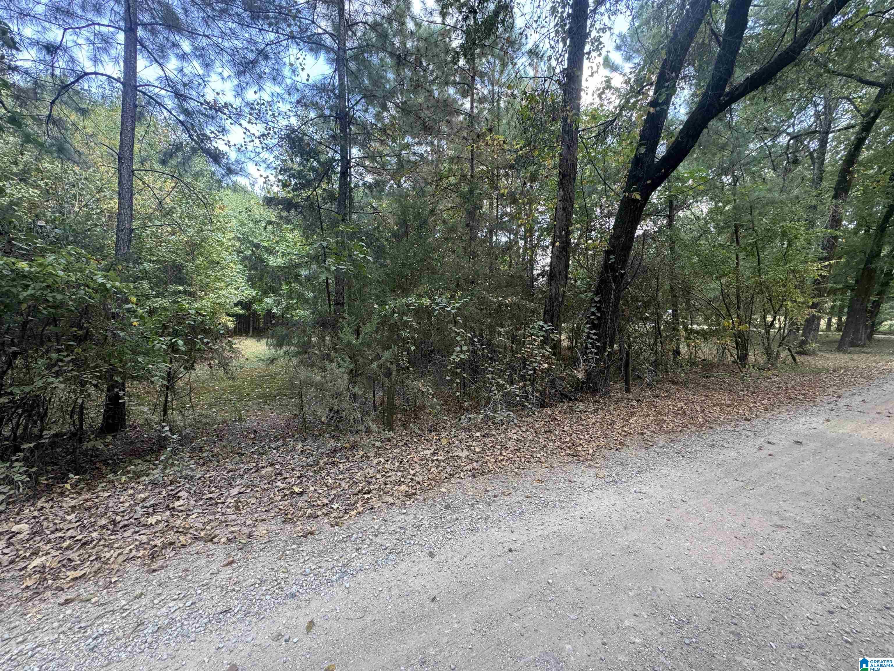 0 Alex Mill Road, Unit 1 Montevallo, AL 35115 - Photo 2 of 3