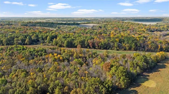 $775,000 | 75 Road Holden Mo 64040, Holden, MO 64040