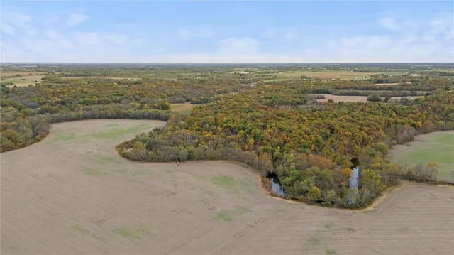 $775,000 | 75 Road Holden Mo 64040, Holden, MO 64040