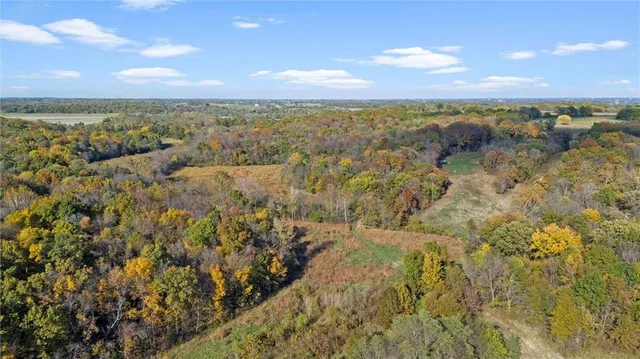 $775,000 | 75 Road Holden Mo 64040, Holden, MO 64040