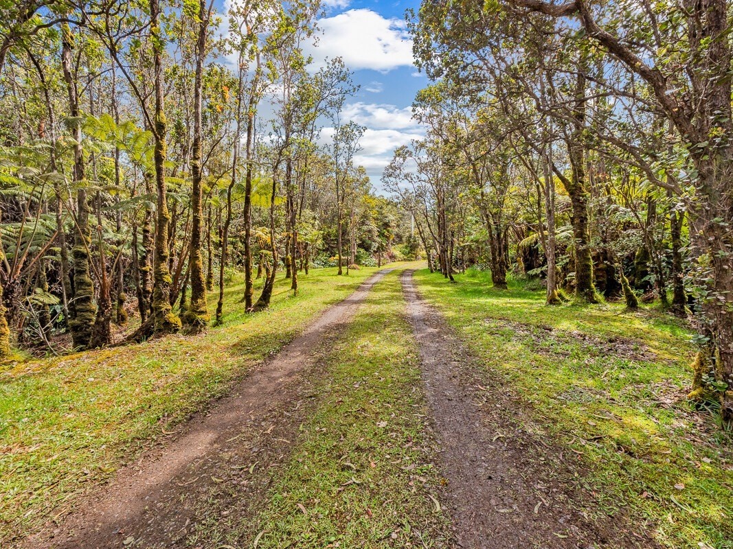 11-2870 ʻUki Road Volcano, HI 96778 - Photo 3 of 29 Gallery Image 3