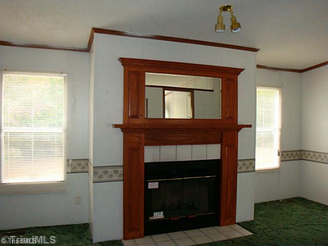 165 Arrowhead Road Ruffin, NC 27326 - Photo 2 of 10 Den/Family/Great Room.