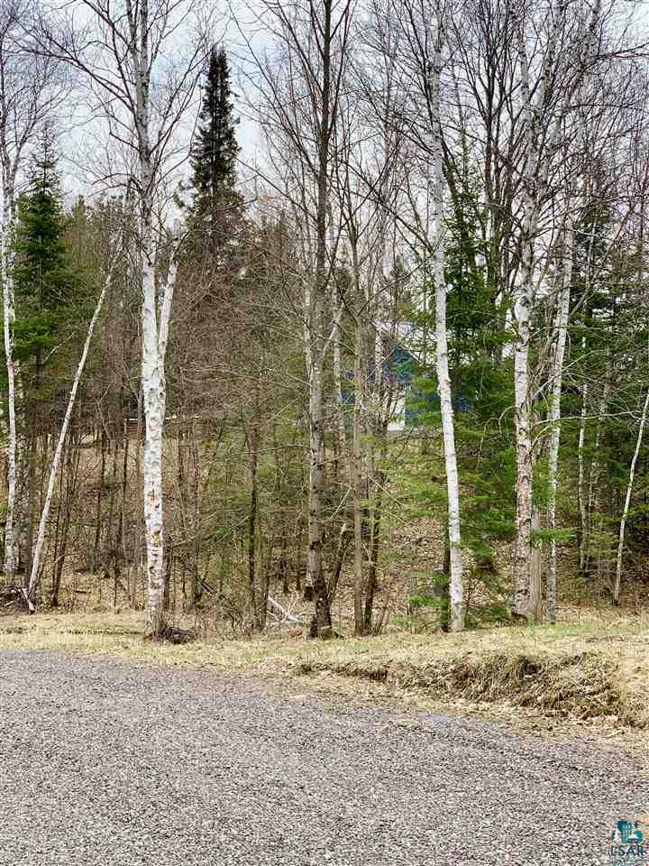 8908 East Nyquist Road Solon Springs, WI 54873 - Photo 7 of 9
