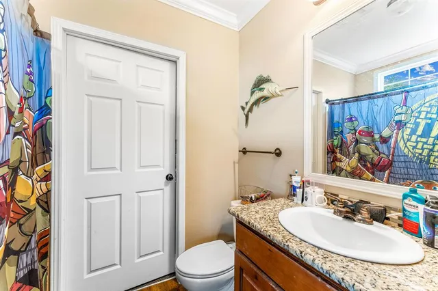 a bathroom with a sink a toilet and shower curtain
