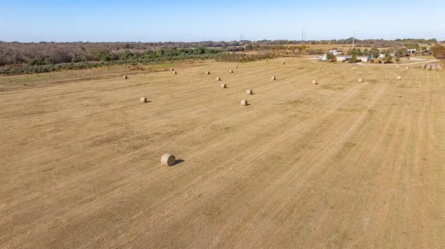 a backyard of a house with garden and plants