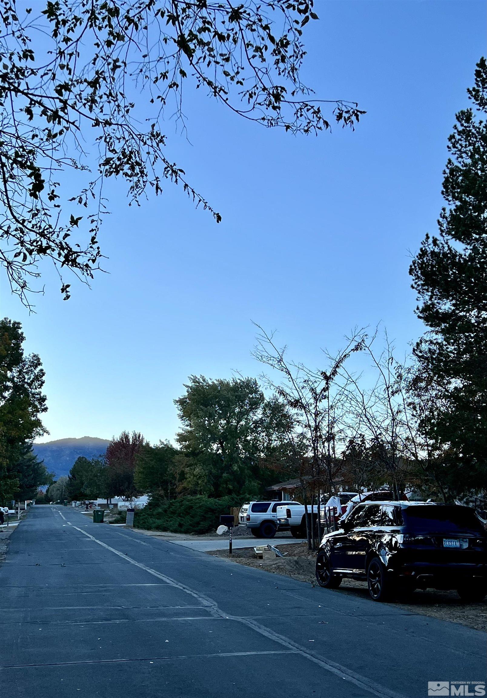 4475 Apollo Drive Carson City, NV 89706 - Photo 35 of 40 a view of a car parked on the side of the road
