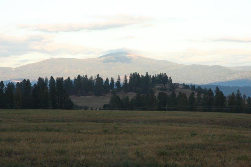 Xx North Division Rd Tract 5 Colbert, WA 99005 - Photo 1 of 7