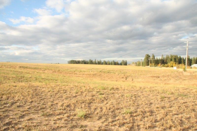 Xx North Division Rd Tract 5 Colbert, WA 99005 - Photo 3 of 7