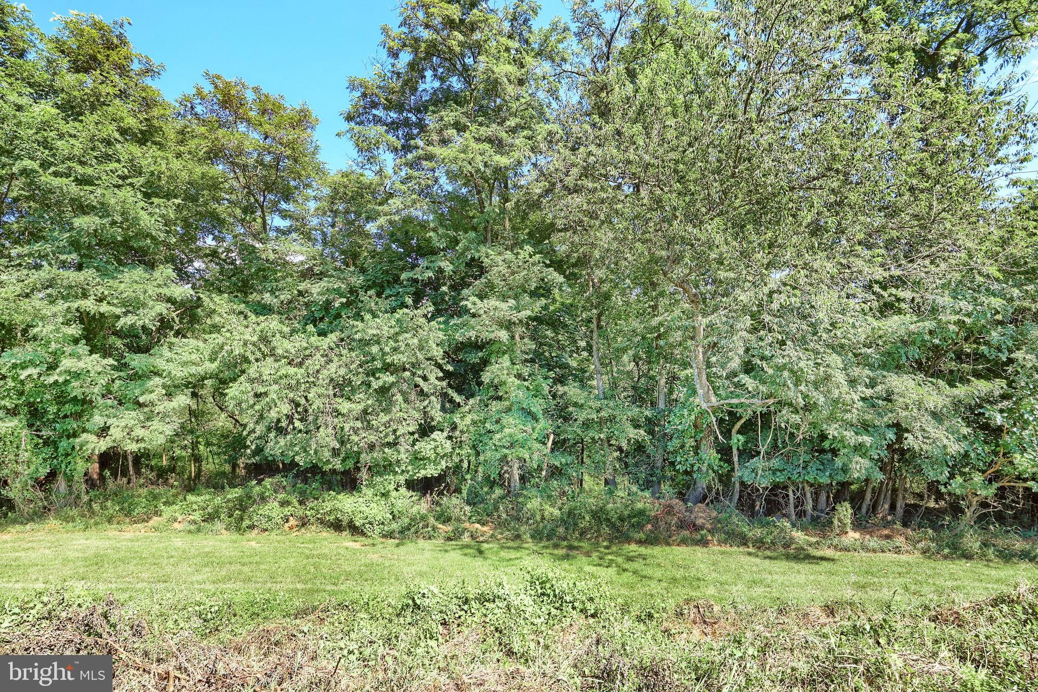 965 East Butter Road York, PA 17406 - Photo 15 of 54 a view of a lush green forest
