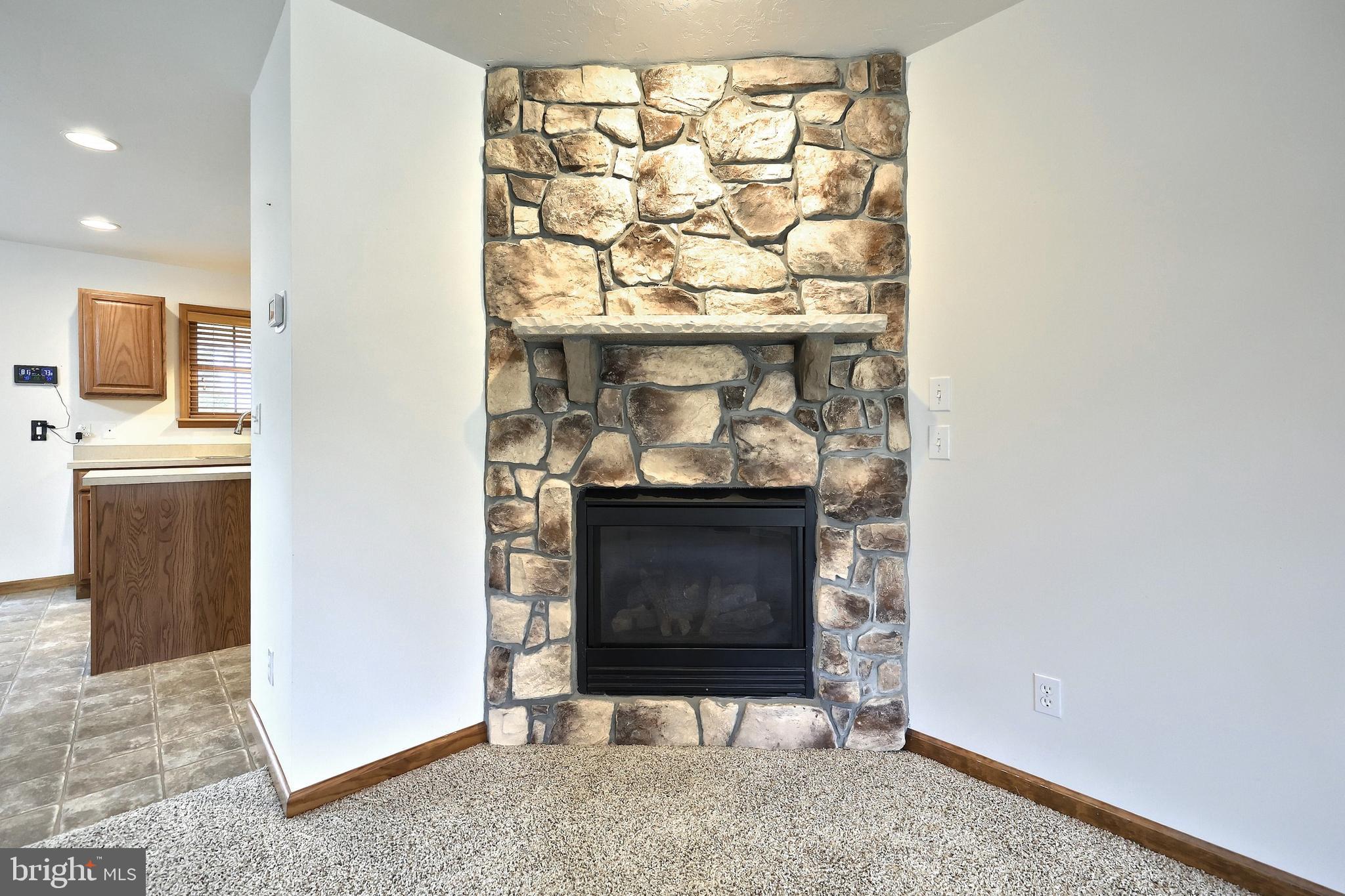 965 East Butter Road York, PA 17406 - Photo 22 of 54 a living room with a fireplace
