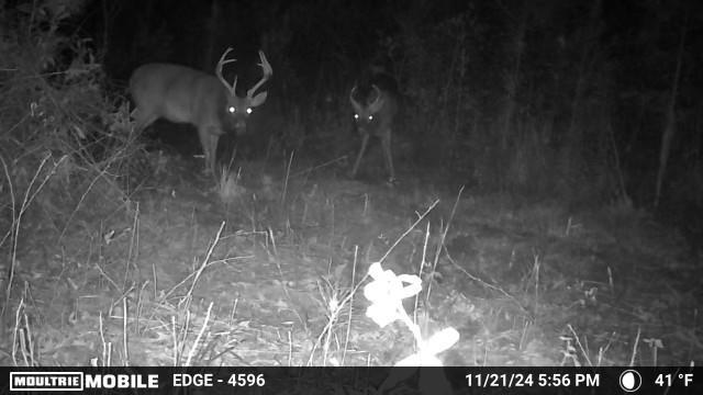 250 Adams Mill Road Clayton, AL 36016 - Photo 72 of 74