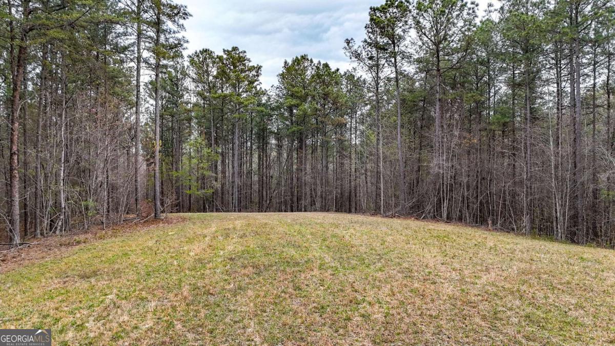 0 Felton Rockmart Road Buchanan, GA 30113 - Photo 26 of 47