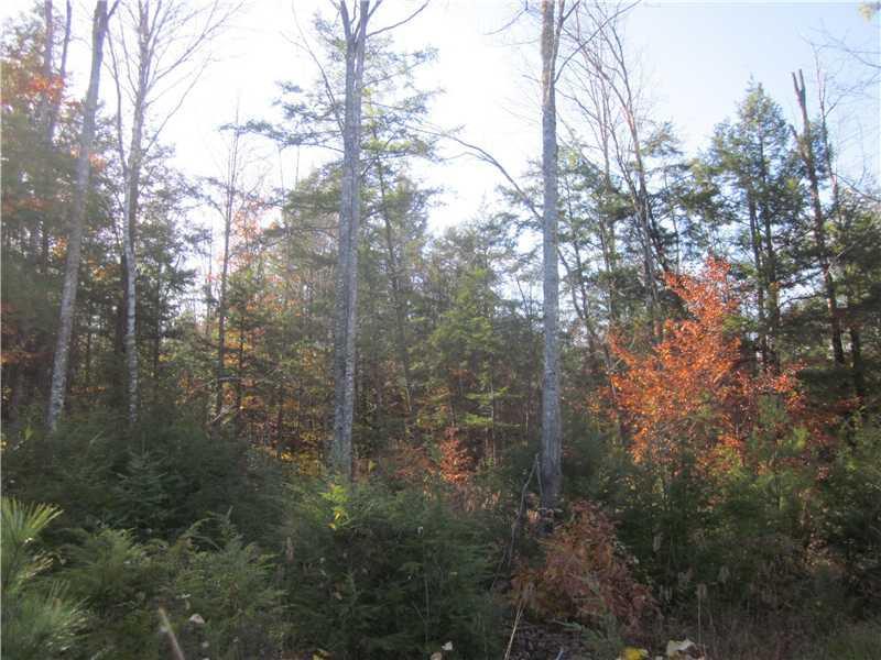 0 Freedom Road Parsonsfield, ME 04047 - Photo 5 of 9 Land.