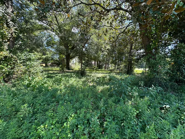 a big yard with lots of green space and deers