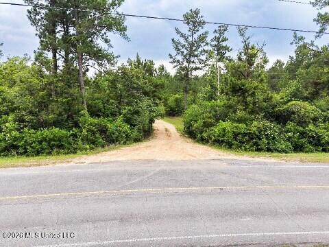 Mcneill Mchenry Road Poplarville, MS 39470 - Photo 11 of 14 11