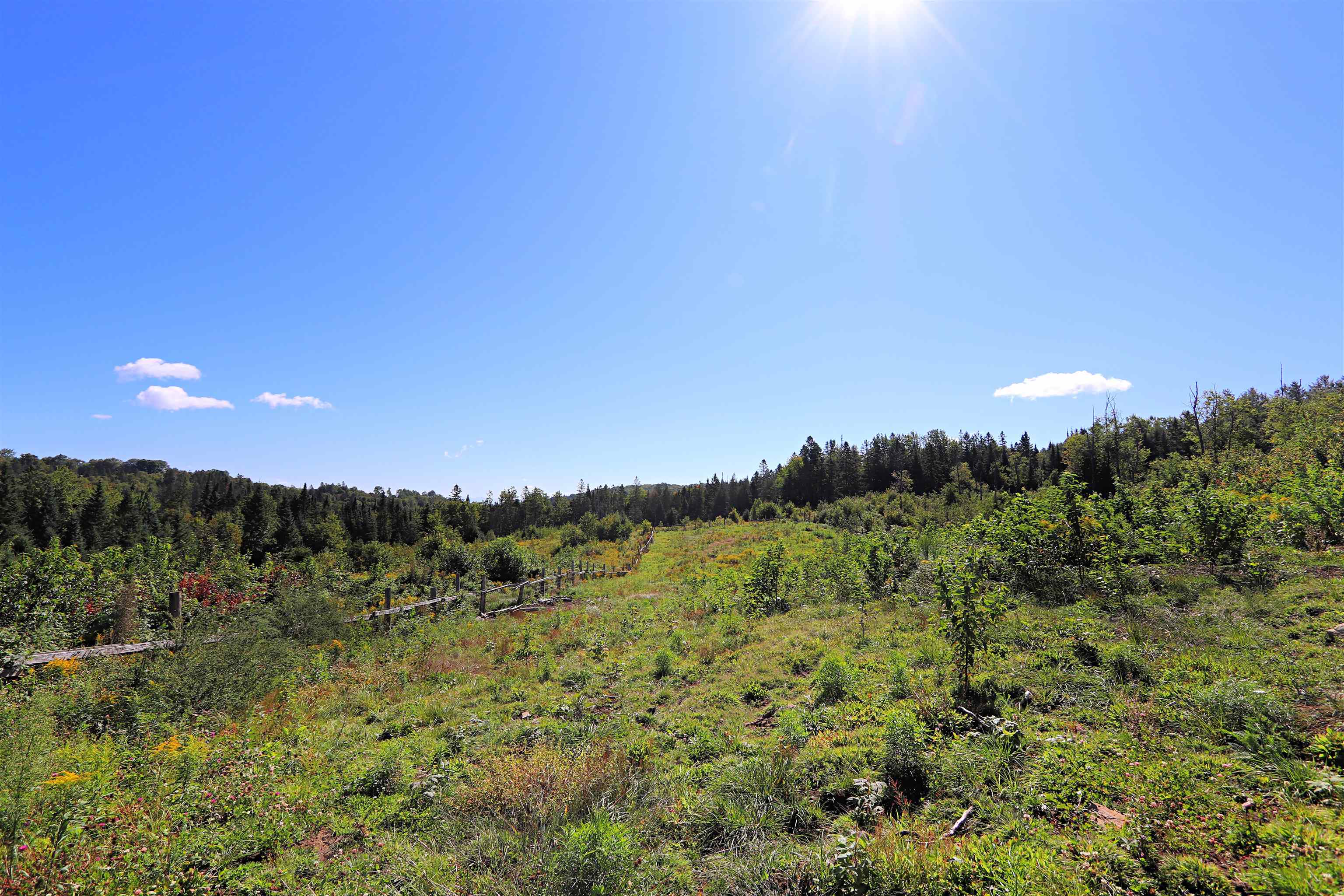 2325 Keiser Pond Road Danville, VT 05873 - Photo 11 of 22