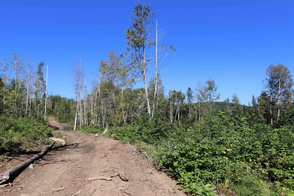 $275,000 | 2325 Keiser Pond Road, Danville, VT 05873