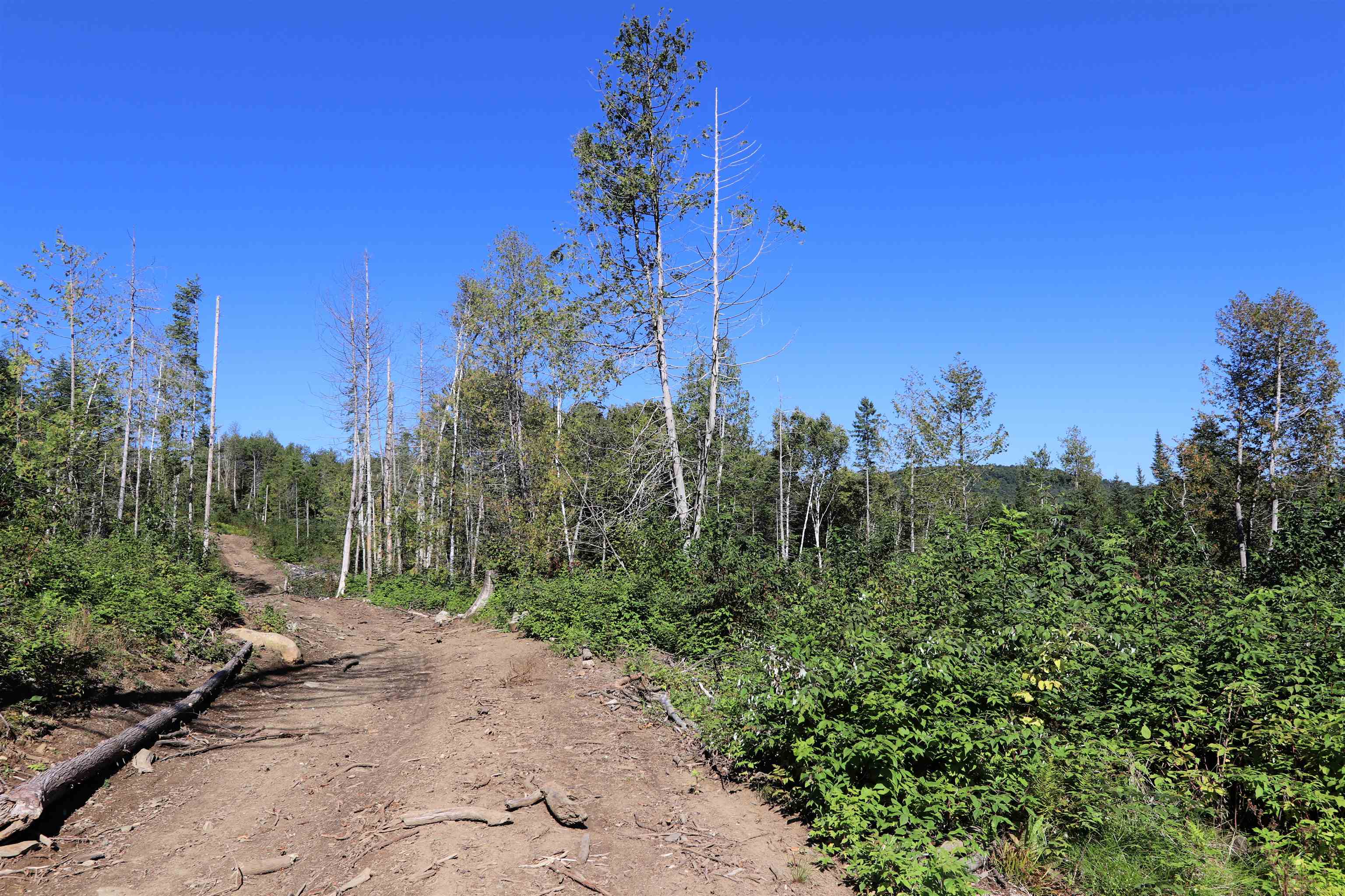 2325 Keiser Pond Road Danville, VT 05873 - Photo 21 of 22