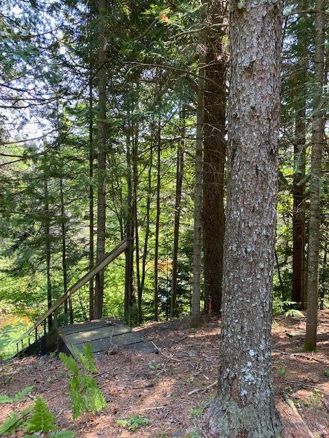 1 Copperhead Row Paradise, MI 49768 - Photo 2 of 24 Gallery Image 2