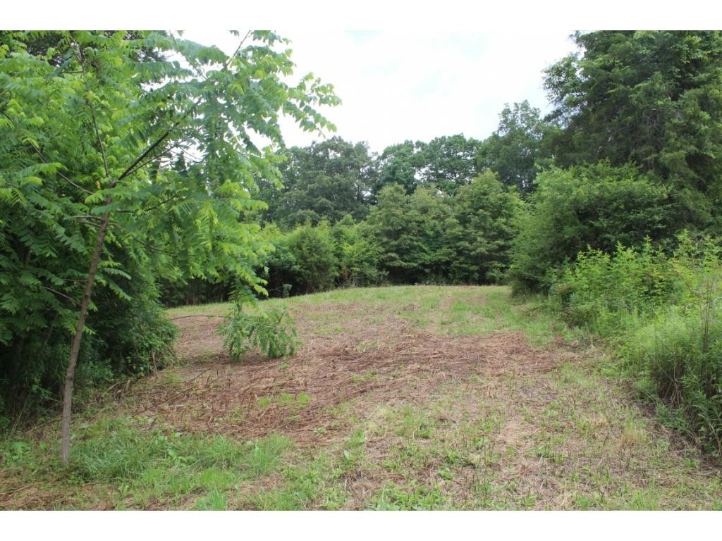 2960 Doty Chapel Road Afton, TN 37616 - Photo 11 of 12 Photo 11