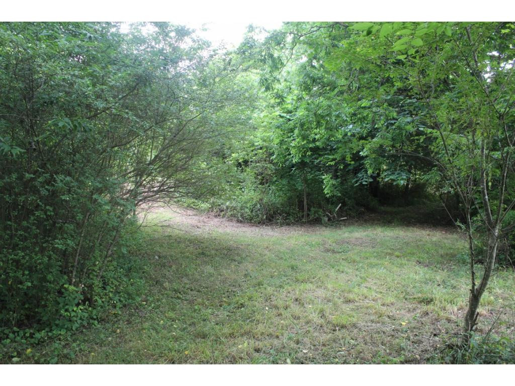 2960 Doty Chapel Road Afton, TN 37616 - Photo 12 of 12 Photo 12