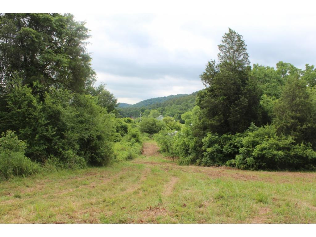 2960 Doty Chapel Road Afton, TN 37616 - Photo 8 of 12 Photo 8